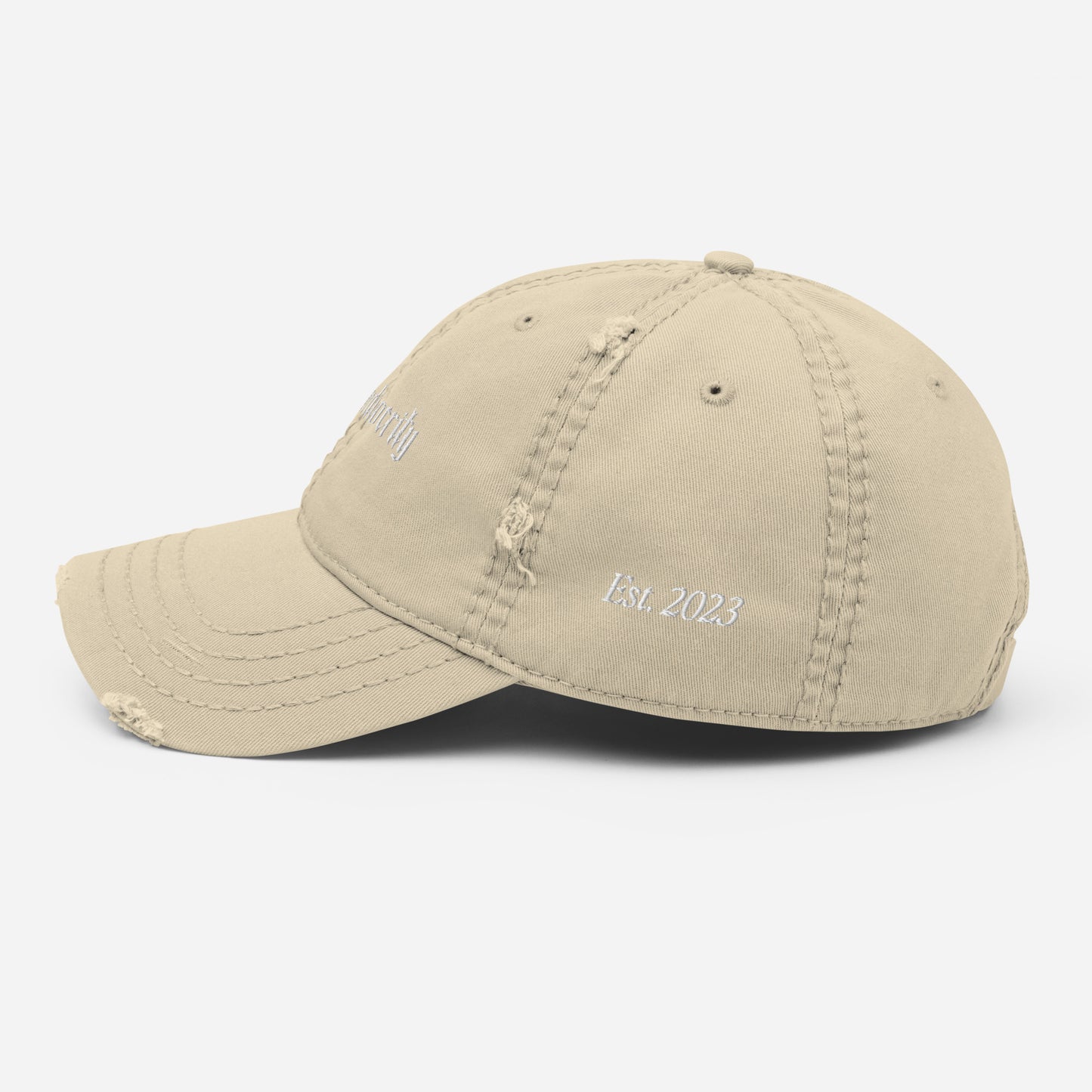 No mediocrity - Distressed Cap