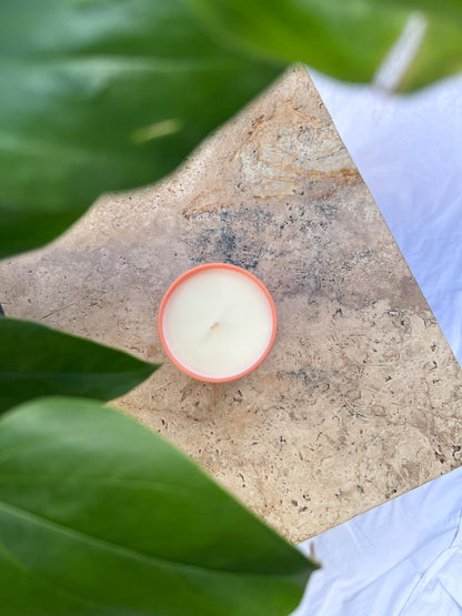 Coconut, Peach & Lime | Beesoy wax Candle | 430g